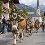 Almabtrieb - Symbolbild