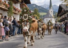 Almabtrieb - Symbolbild