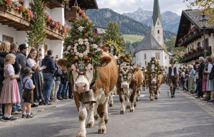 Almabtrieb - Symbolbild